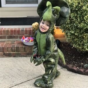 Triceratops costume